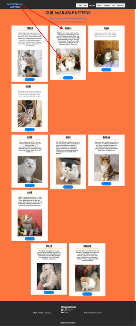 Mini Persian Kittens Cattery is a Scam Site - Buyer Beware!!