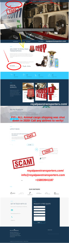 Royal Paws Transporters - Scam Site - Buyer Beware!! https://royalpawstransporters.com/  -  Phone: (580)-394 - 1187    E-mail: info@royalpawstransporters.com