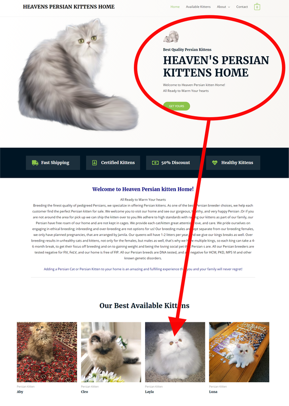 Heaven's Persian Kittens Home is a Scam Site - Buyer Beware!