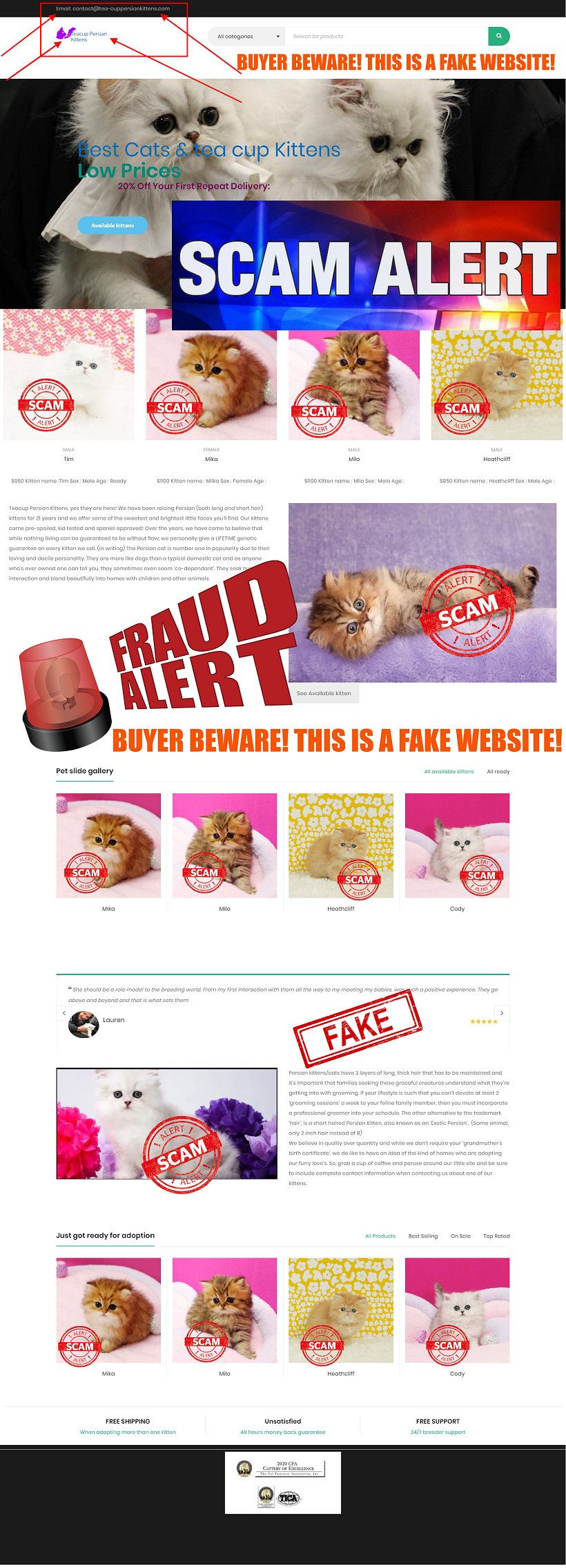 https://tea-cuppersiankittens.com/ is a Scam Site - Buyer Beware!!