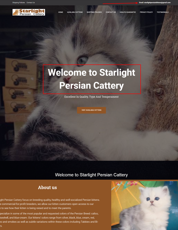 Starlight Persian Cattery is a Scam Site - Buyer Beware!